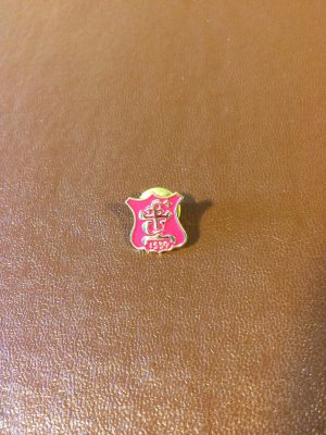 Lapel Pin