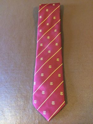 Tie (polyester)