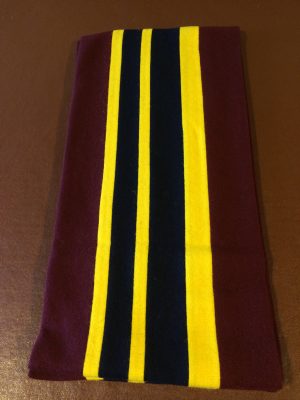 Club "college" Scarf